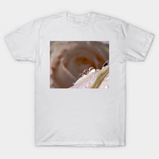 Dew drops on white rose T-Shirt